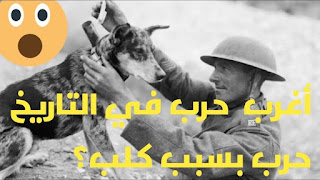 بعض أتفه الأسباب المباشرة للحروب في التاريخ الأسباب المباشرة للحروب
