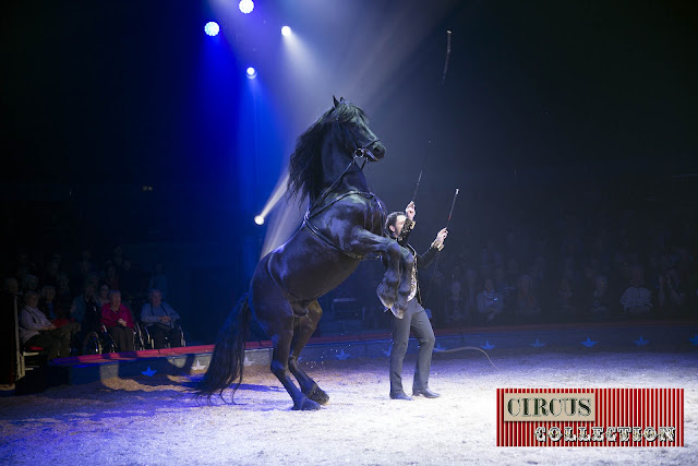 Spectacle chevaux Maycol Errani