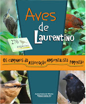 Aves de Laurentino