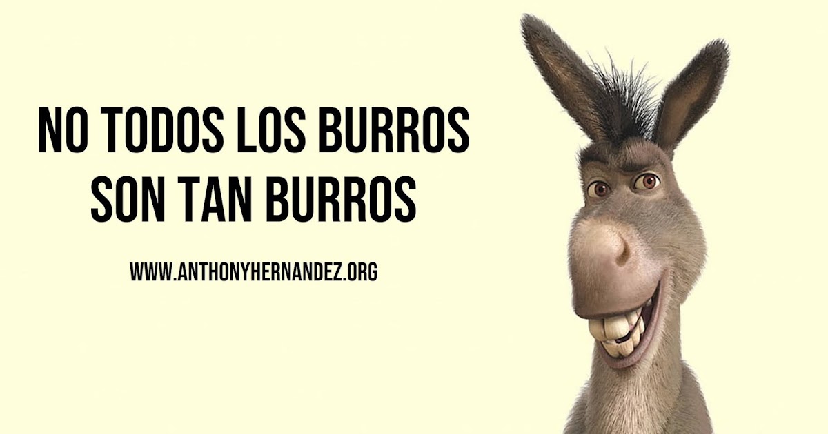Un Nuevo Amanecer No todos los burros son tan burros Anthony Hernandez Un Nuevo Amanecer No todos los burros son tan burros Anthony Hernandez
