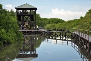 mangrove edu park semarang