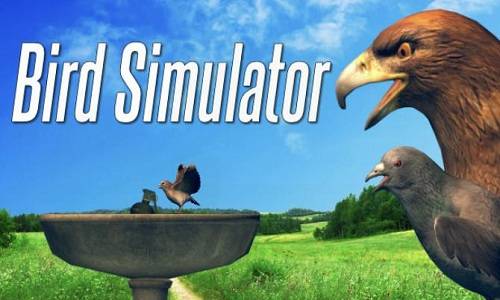 Bird Simulator Game Free Download