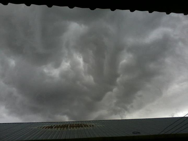 Эхо облаков. Лебеди в небе облачно фото. Экажево Википедия облачно. Real Arcus cloud.