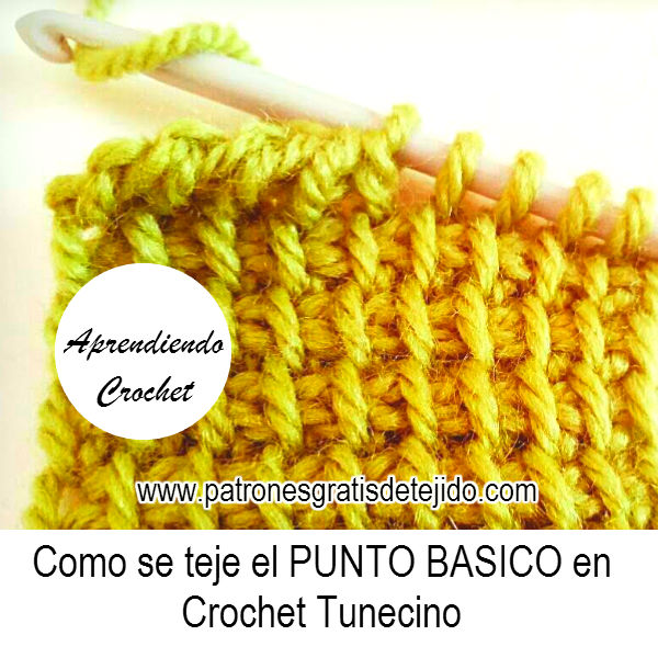 Aprende a tejer CROCHET TUNECINO en uno y dos colores / Tutoriales