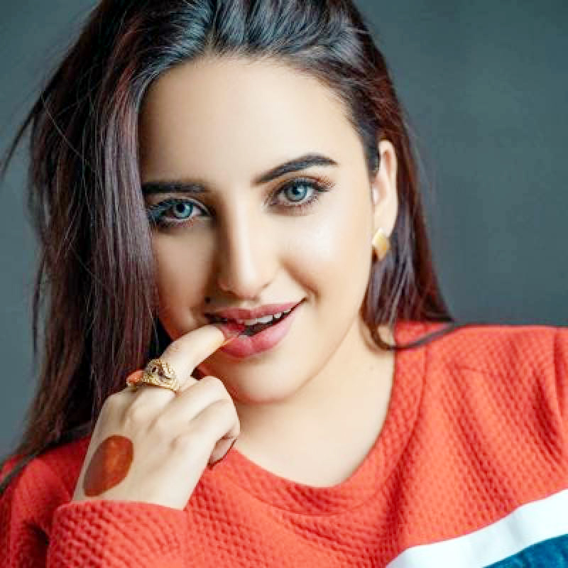 Tick tock star Hareem Shah's web series