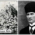 They Sold the Bones of Greeks And Armenians Who Were Killed in Turkey. 400 Tons Of Bones Were Transferred to France for Industrial 'Use'