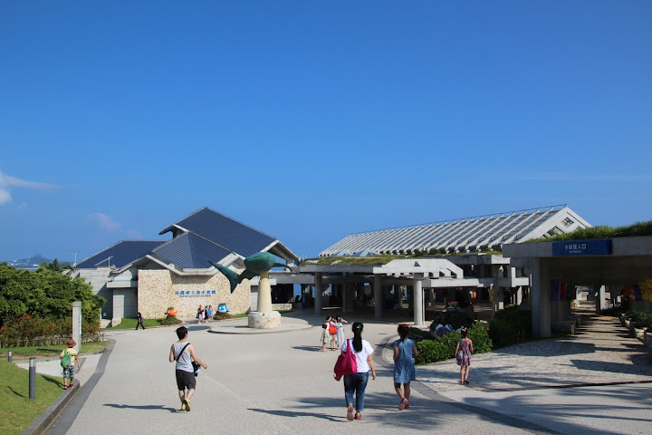  沖繩衝衝衝 第二天：2.沖繩美麗海水族館～ 
