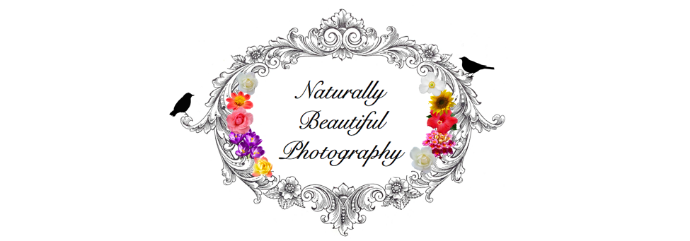 Naturally Beautiful Photography