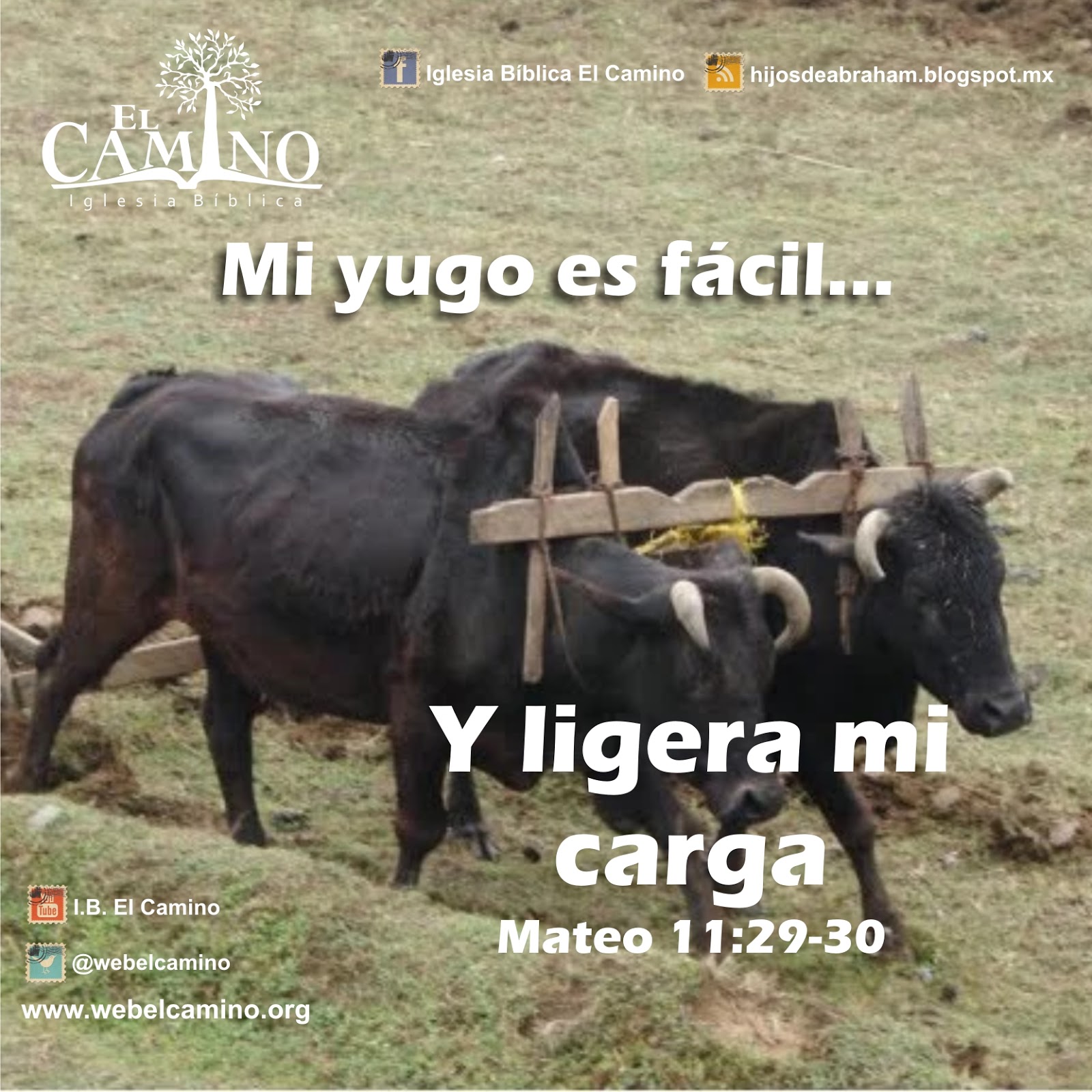 Hijos de Abraham El Yugo Fácil