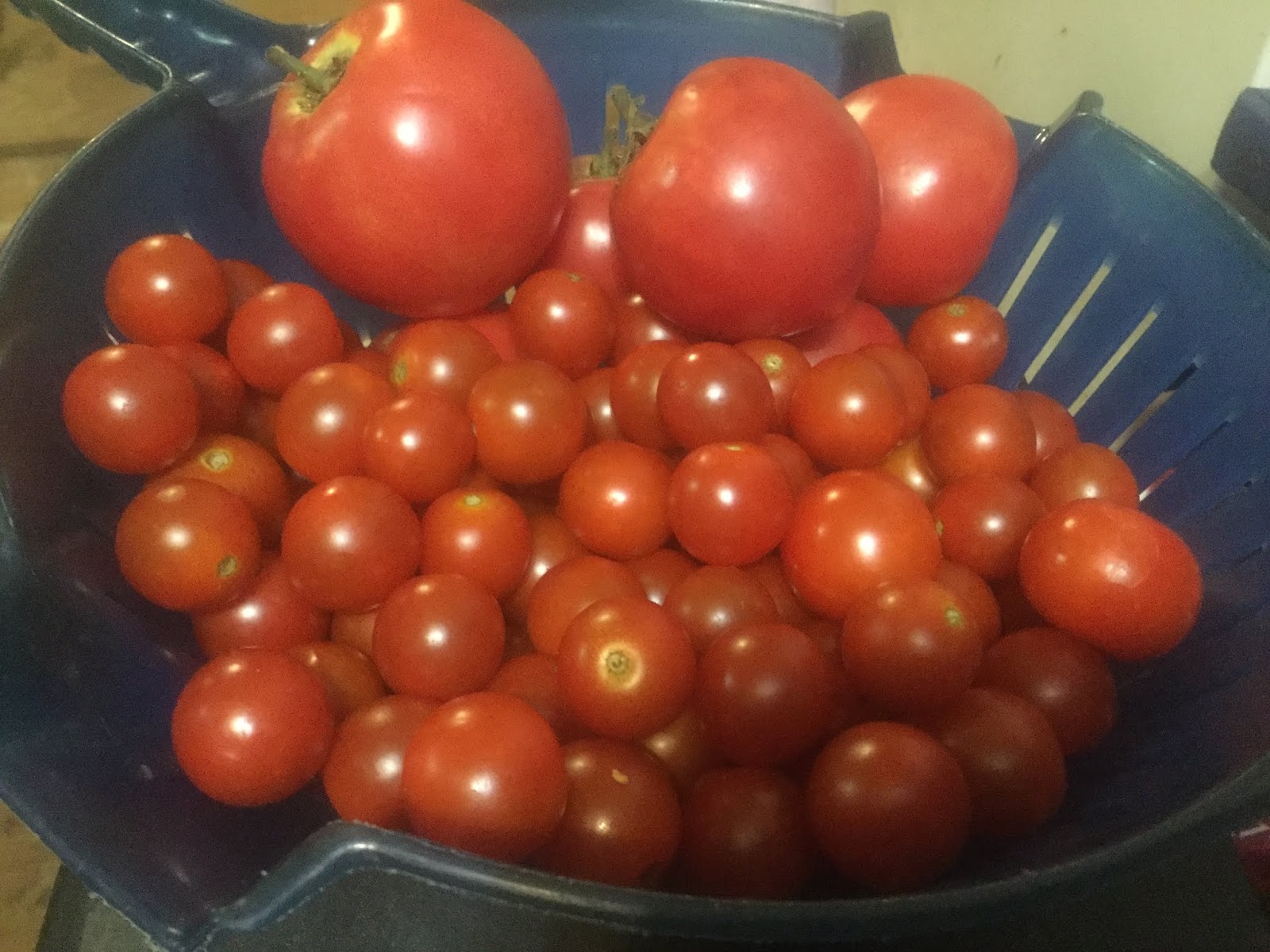 Countrified Hicks How To Freeze Tomatoes