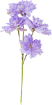 Flower_9.png