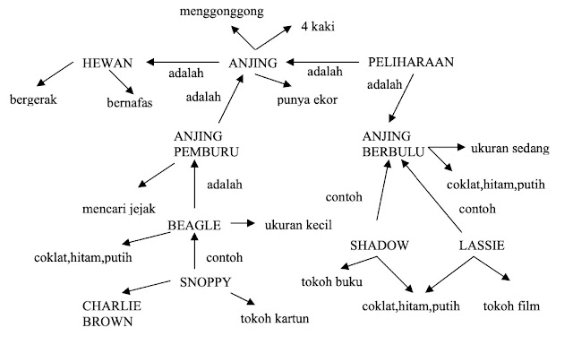 Model jaringan semantic