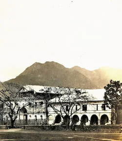 Tanauan5