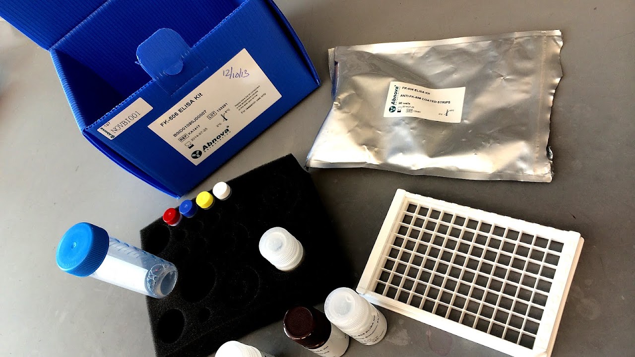 ELISA Insulin Elisa Kit Insulin Choices