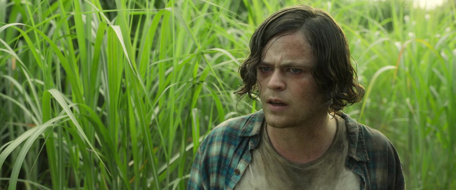 In the tall grass. In the tall grass. In the tall grass. Харрисон гилбертсон в высокой траве. In the tall grass.