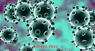 Corona virus