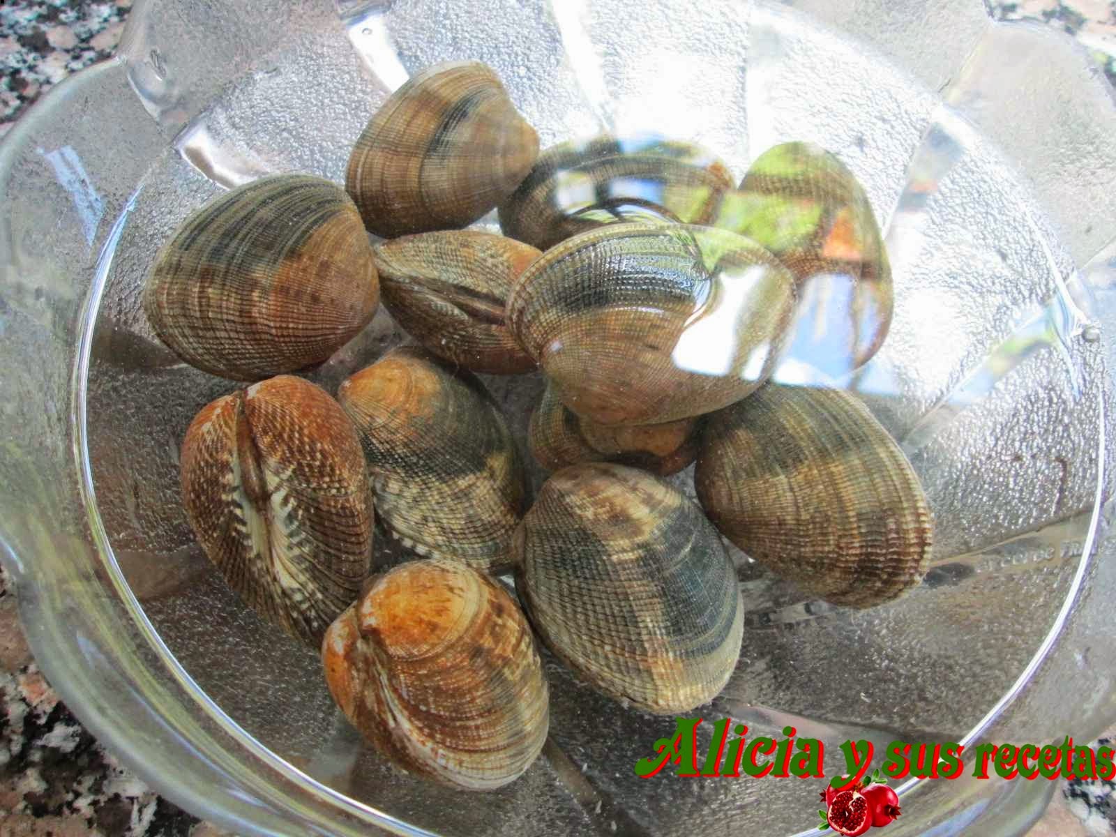 Alicia y sus recetas: ALMEJAS FINAS RELLENAS DE BECHAMEL