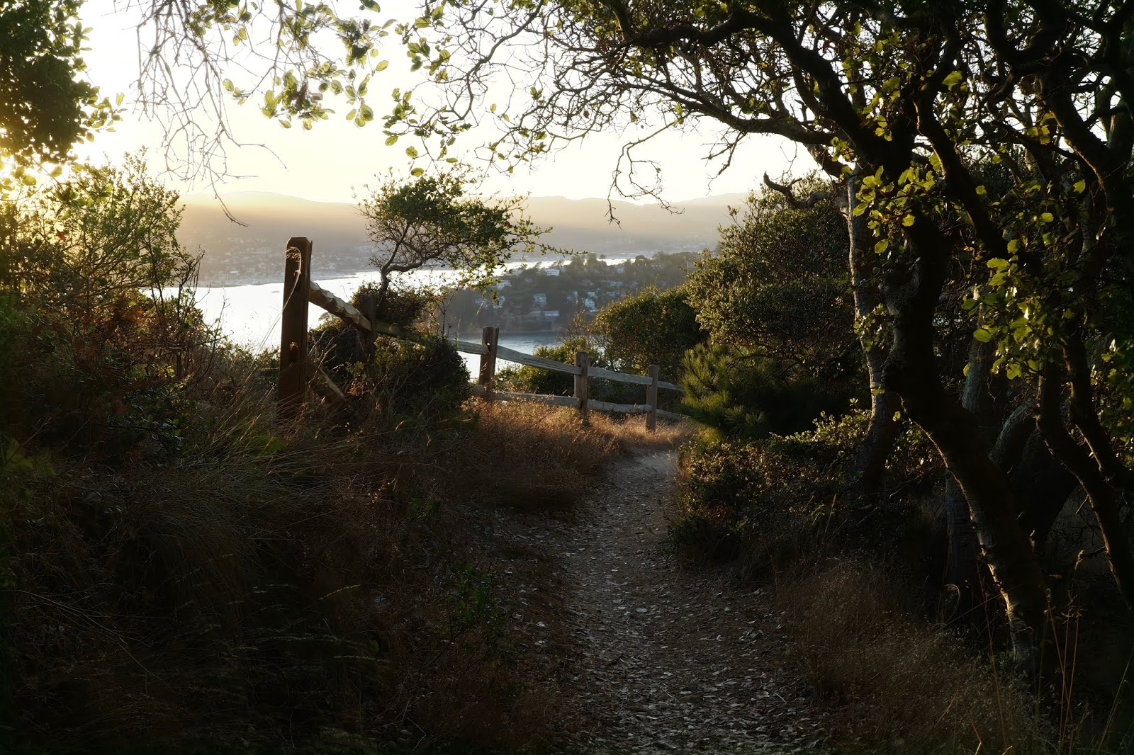what can you expect from a small island off of California?