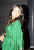 Its My Love Story Movie Audio Launch