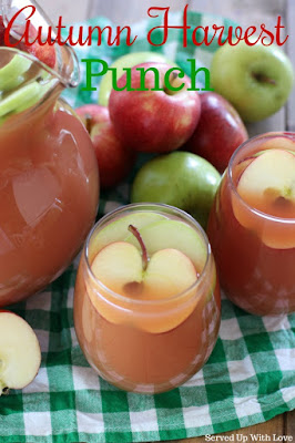 Easy Autumn Harvest Punch recipe from Served Up With Love