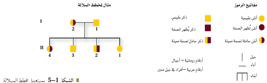 الحامل للصفة هو الشخص الذي ورث جين الصفة ولكن الصفة لا تظهر عليه شكليا