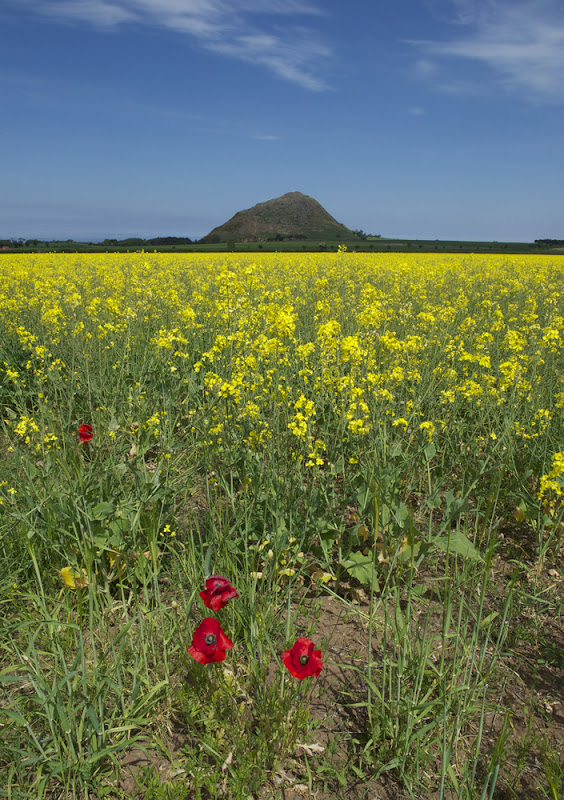 Top 5 walking routes in Scotland