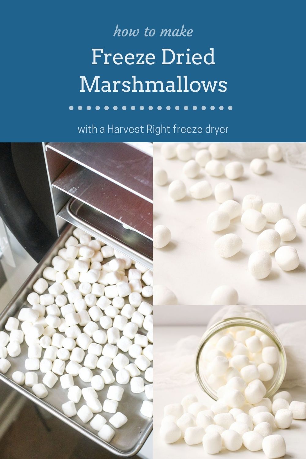 How to Make Dried Marshmallows (Oven, Dehydrator, Air Fryer, Freeze Dry