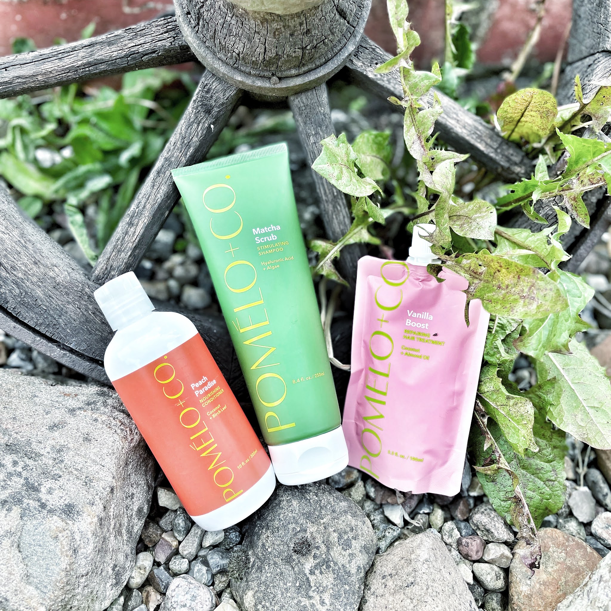 Pomelo + Co New Yorker Haarpflege im Test