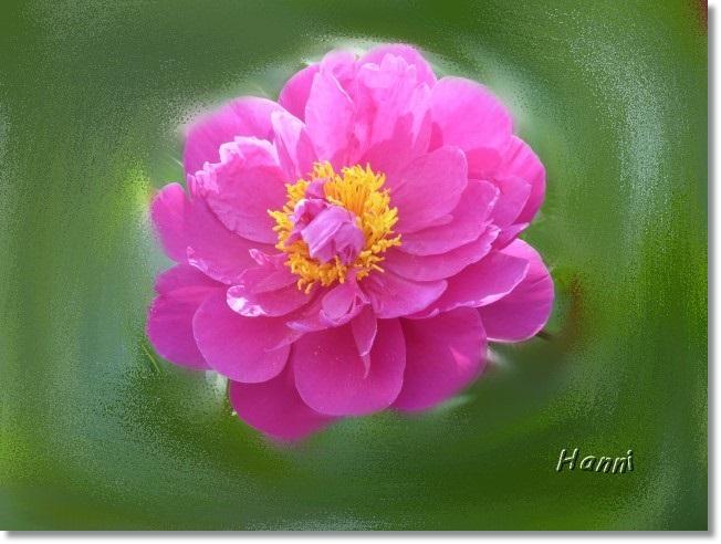 Gedankenreise Grusse Die Mich Erreichten