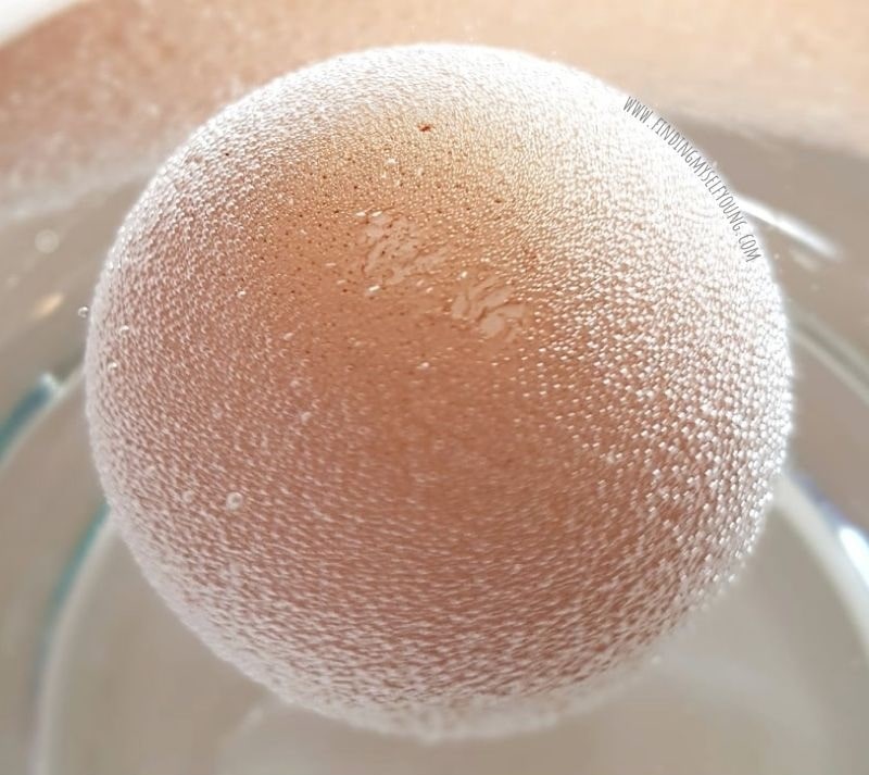 How to make a Bouncy Egg Finding Myself Young