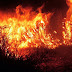 INCÊNDIO DE GRANDES PROPORÇÕES DESTRÓI VEGETAÇÃO NO SUDOESTE DA BAHIA