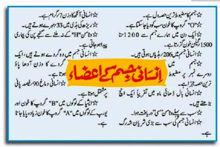 HUMAN ANATOMY IN URDU PDF visual data 6