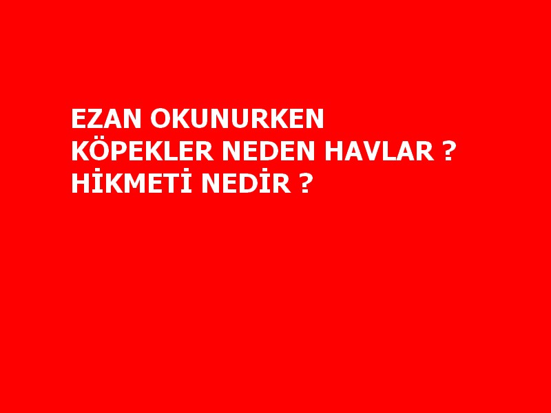 ŞİFA AYETLERİ VE DUALARI EZAN OKUNURKEN KÖPEKLER NEDEN HAVLAR