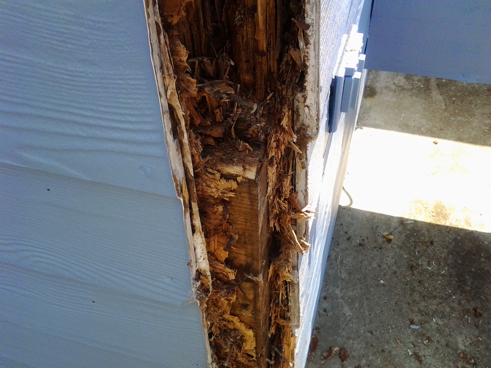 The Paint Bucket Wood Rot What Every Homeowner Should Know