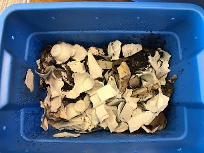Picture of the inside of an indoor worm composting bin with soil and ripped up cardboard.