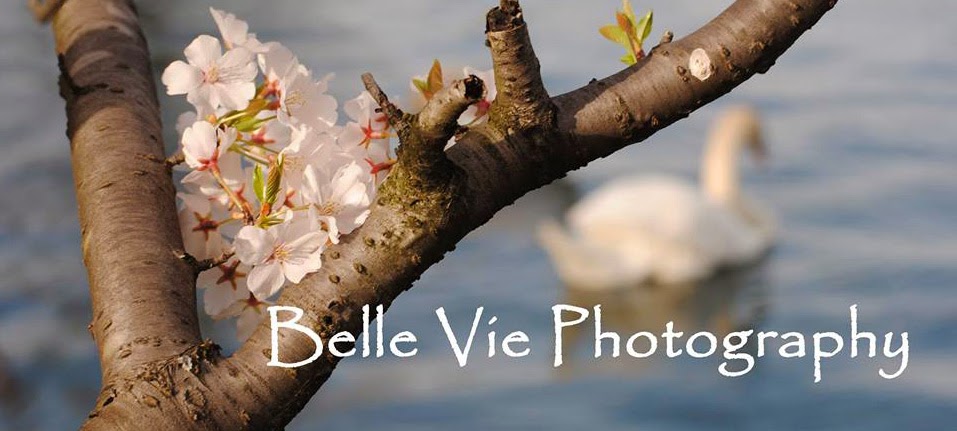Belle Vie Photography