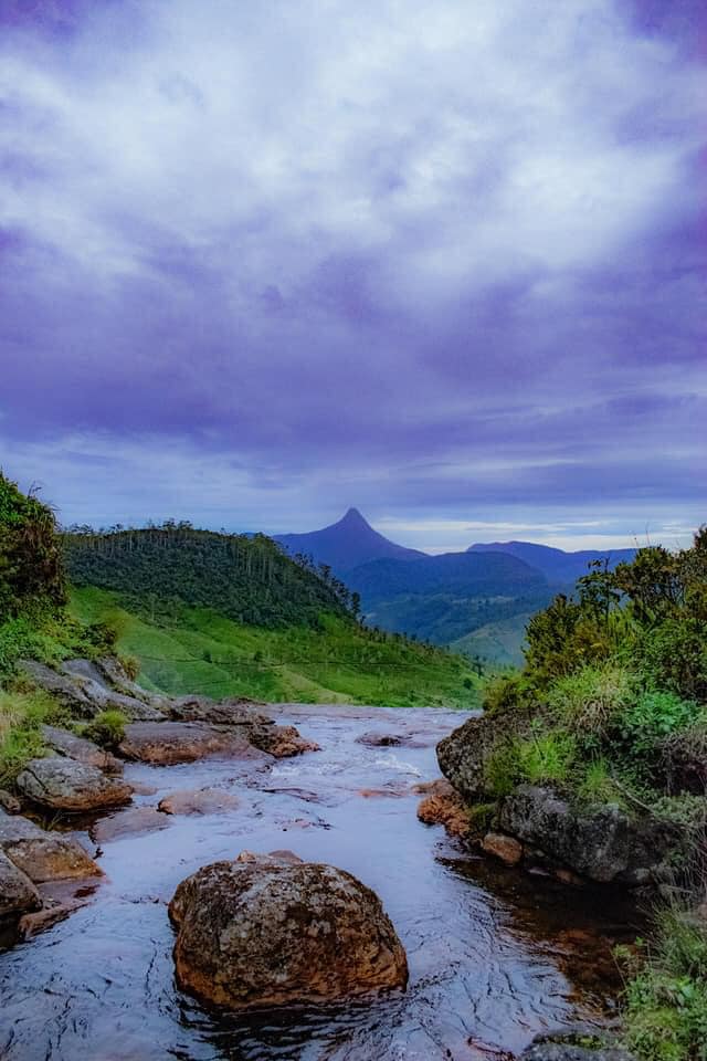 ගවරා විසූ - ගවරවිල සොයා මහ වනයට 🌳🐂🌳 (Gawarawila) - Your Choice Way