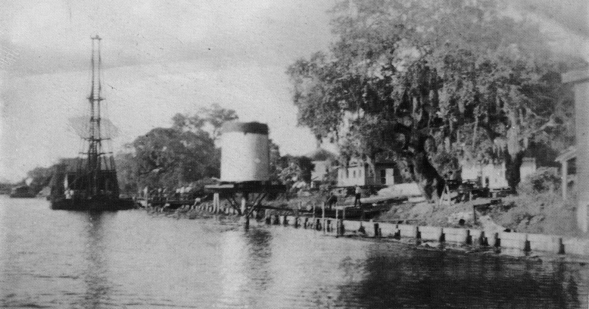 Tammany Family Post Oak