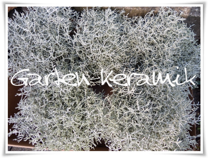 Garten-Keramik: Eigentlich