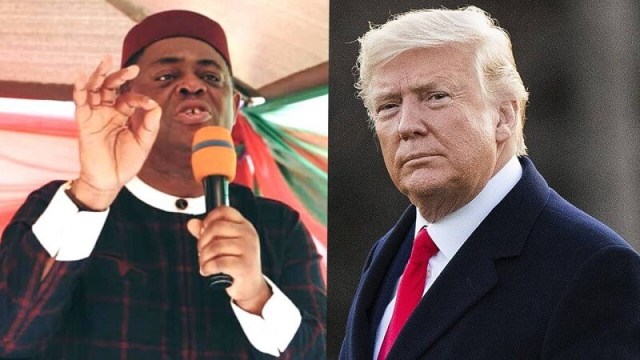 See how Fani-Kayode gambled on Trump and failed with him