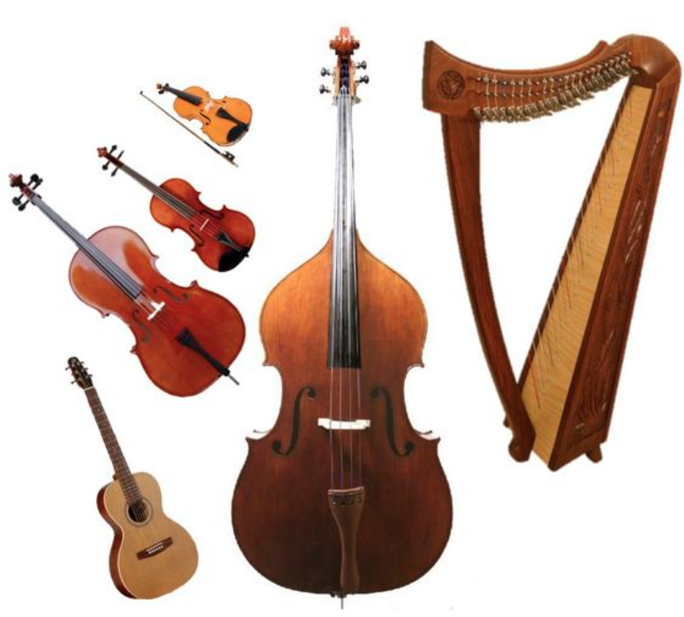 List 90+ Pictures Pictures Of String Instruments Completed