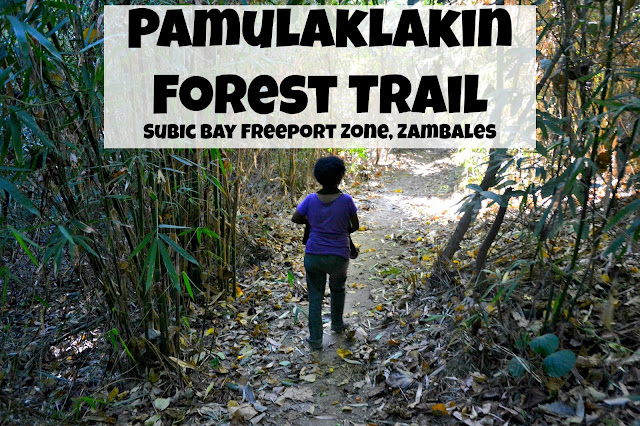 Pamulaklakin Aeta Forest Trail