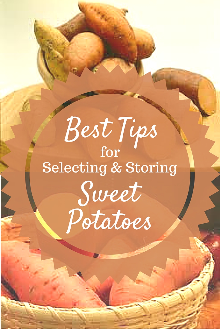 The Prudent Pantry Selecting and Storing Sweet Potatoes