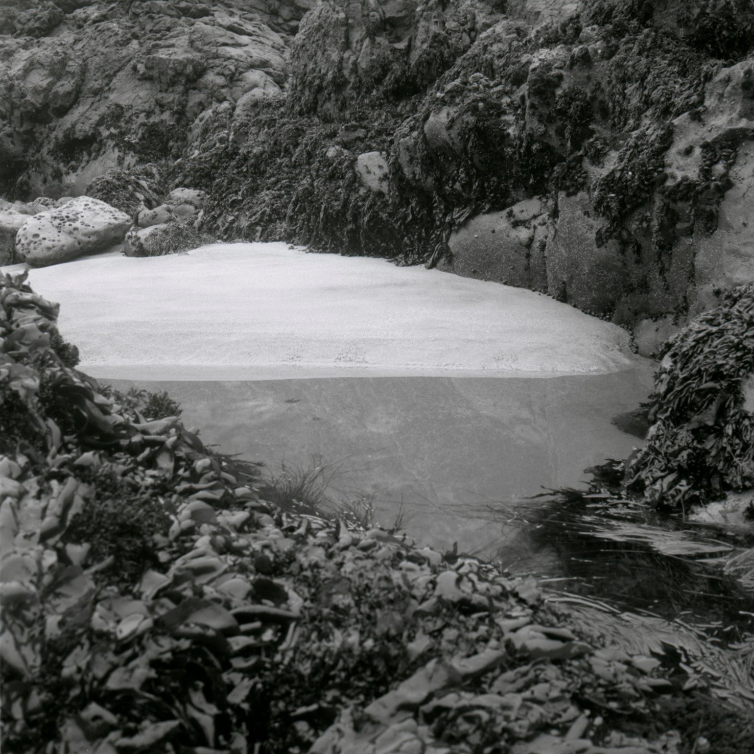 Toma's View Photography Half and Half