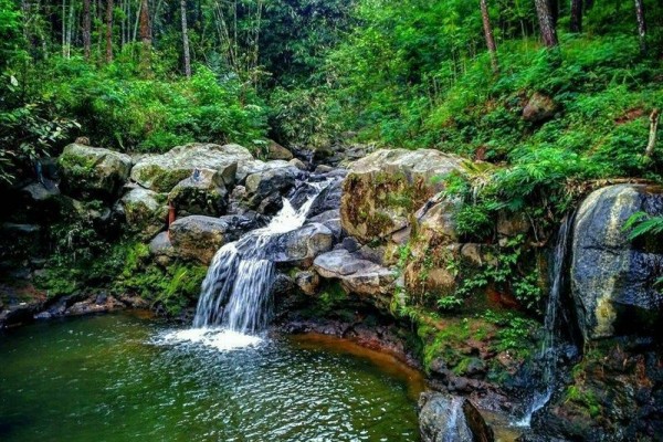 9 Destinasi Wisata Alam di Pemalang yang Memukau, Pernah ke Sini?