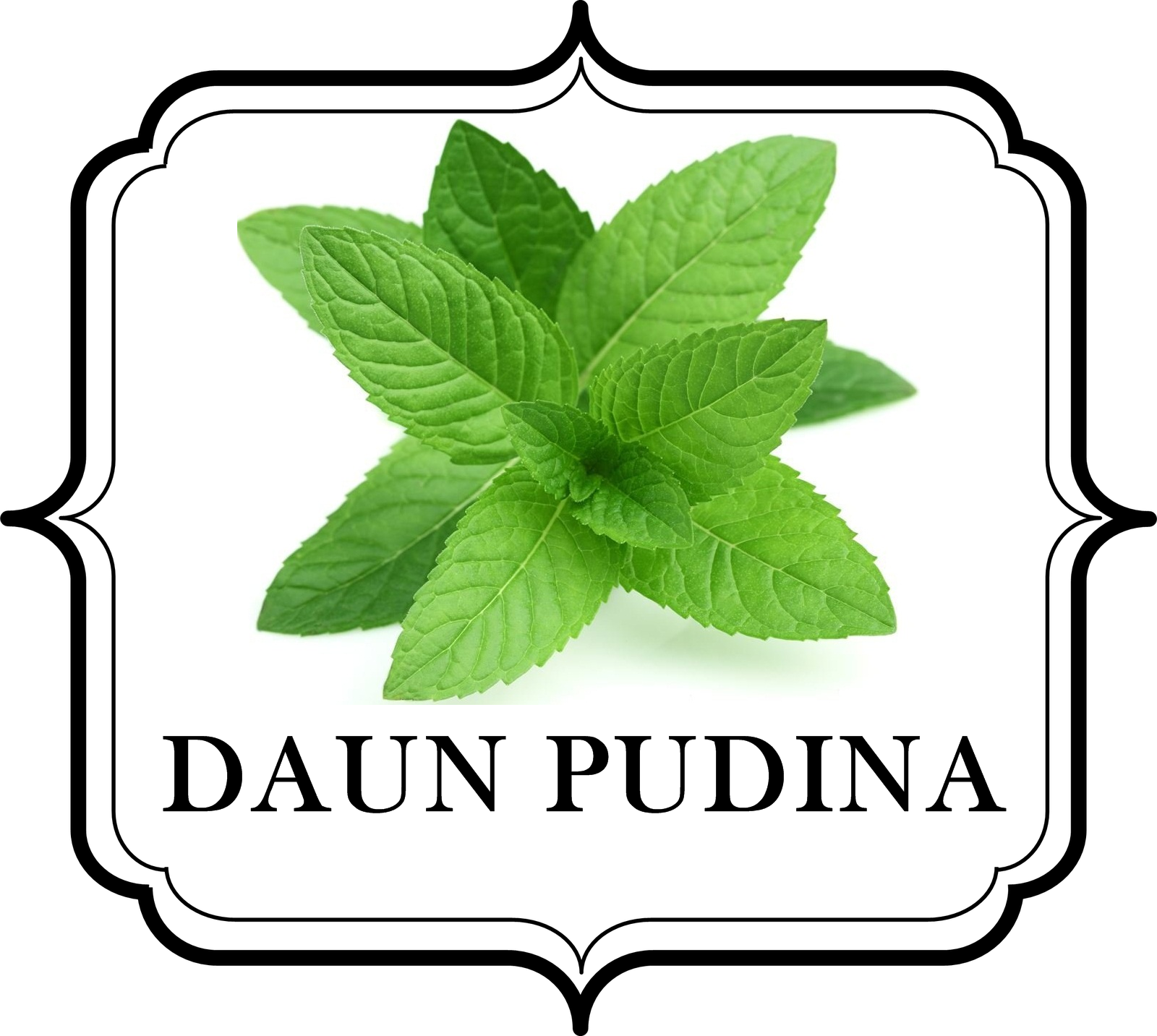 Peppermint Ginger Plus Shaklee Healthy Life, Happy Life