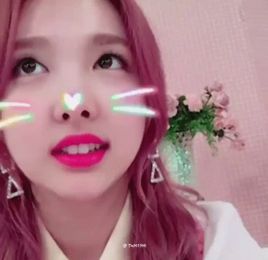 트와이스 토끼 나연