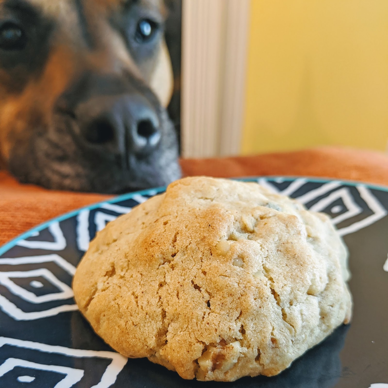 Jenny Bakes Oatmeal Cranberry Walnut Cookies