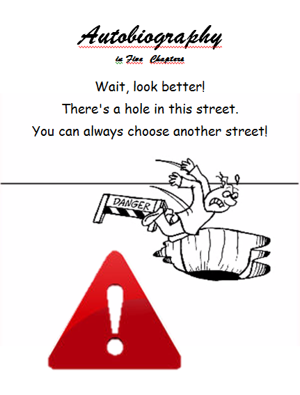 AUTOBIOGRAPHY IN 5 CHAPTERS POSTER visual data 4