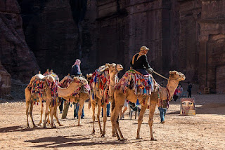 scientist names of camel